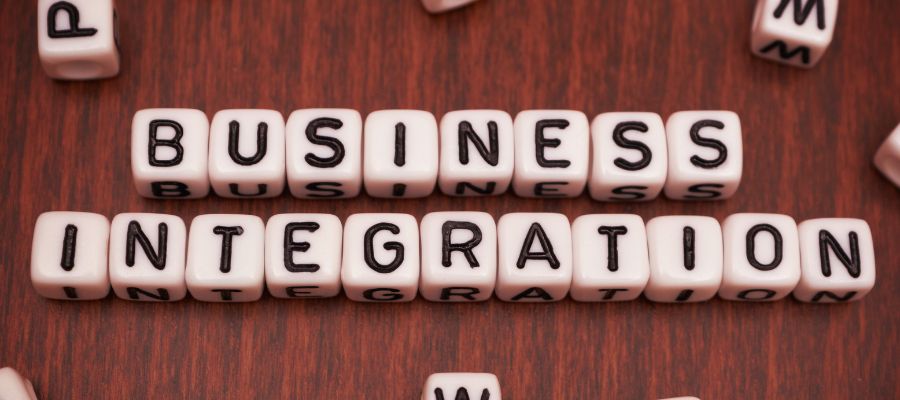 business integration examples, advantages of business integration, business integration role, business integration strategy, business-to-business integration