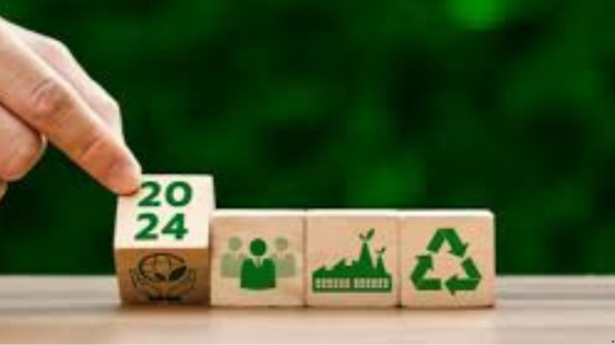 Sustainability Business